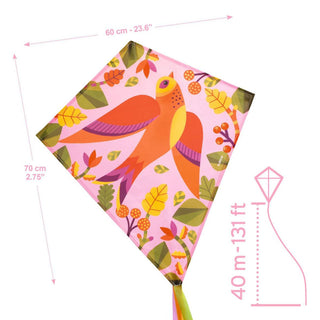Djeco Хвърчило Birdy