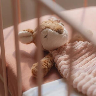 Дуду за Гушкане Сърничка Fairy Garden