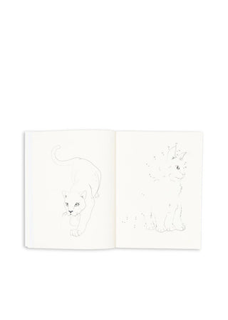 Konges Slojd Книжка за Оцветяване и Моливи - multi