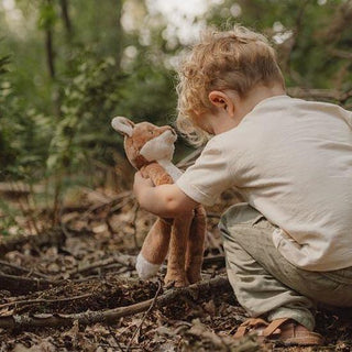 Лисичка за Гушкане с Дълги Крачета Forest Friends