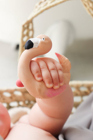 Oli&Carol Гризалка Sky the Flamingo